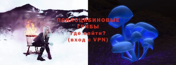 стафф Алзамай