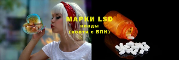стафф Алзамай